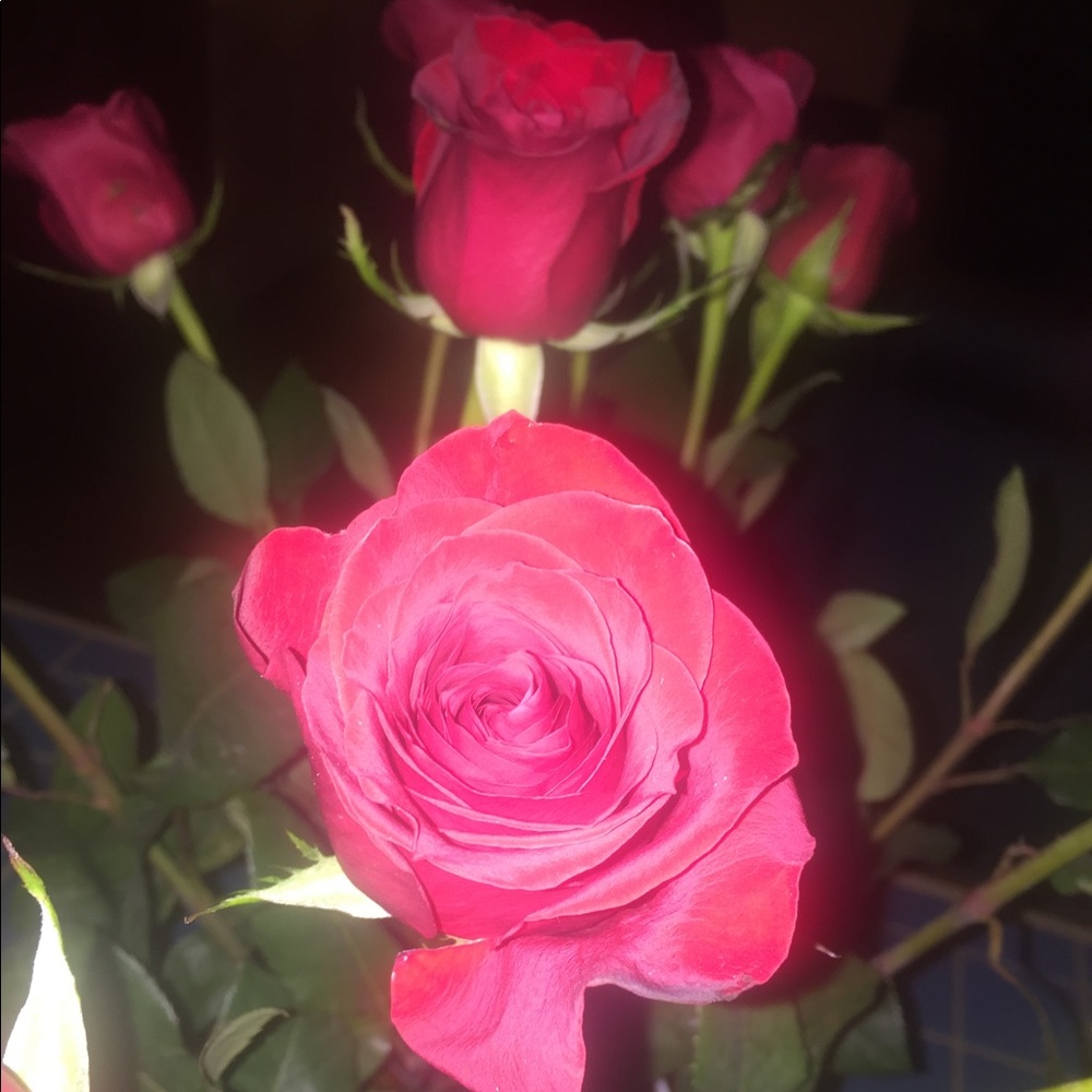 Meet your Posher, Doreen